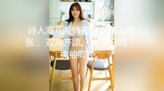 诗人海儿爱情密码： 玉儿怒张， 双燕齐舔。 琴瑟合鸣， 执袖同挽。