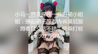 小马丶寻花深夜一身白裙小姐姐，撩起裙子隔着内裤摸屁股，蹲着口交活不错，骑乘打桩大力猛操