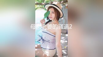 母狗老婆的骚逼2