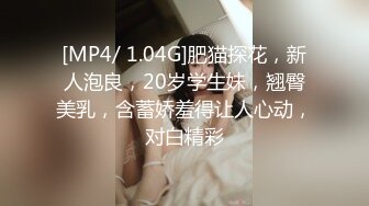 [MP4/ 1.04G]肥猫探花，新人泡良，20岁学生妹，翘臀美乳，含蓄娇羞得让人心动，对白精彩