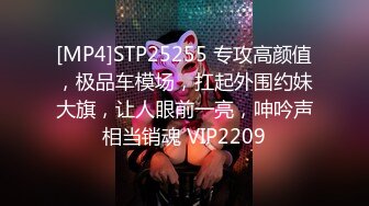 [MP4]STP25255 专攻高颜值，极品车模场，扛起外围约妹大旗，让人眼前一亮，呻吟声相当销魂 VIP2209