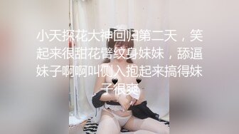 小天探花大神回归第二天，笑起来很甜花臂纹身妹妹，舔逼妹子啊啊叫侧入抱起来搞得妹子很爽